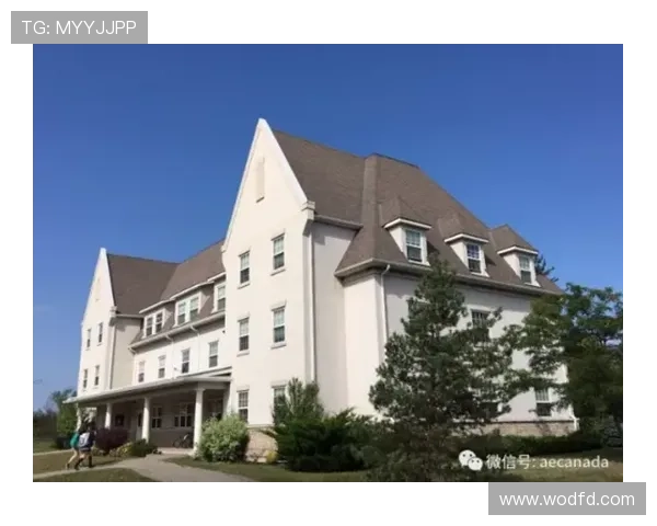 多伦多足球场周边景点与交通指南全面解析