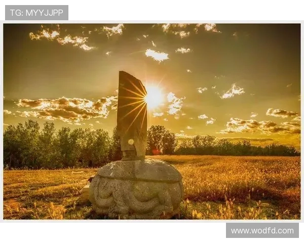 非洲雄狮崛起象征大地力量与生态复兴的壮丽篇章 - 副本 (2) - 副本