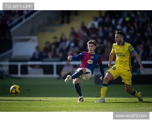 西甲赛事最新动态分析与战况回顾平台全方位呈现精彩足球对决